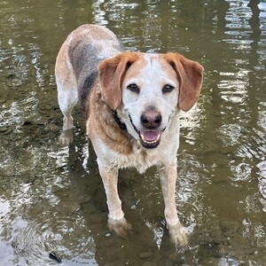 Fundraising Page: Amy Cycon